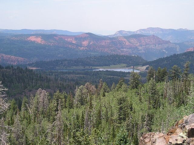 Dixie National Forest